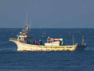 養殖業の職場風景